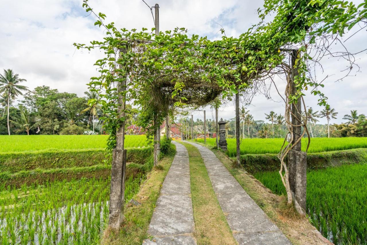 Tirta Asri Ubud Villa Exteriör bild